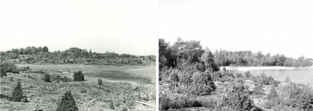 Fotografier från Ärnön i Lurö skärgård. Det vänstra är taget 1971 då det fortfarande fanns betesjur på ön. Det högra är taget 2014. Foto: Hans Kongbäck och Gunnar Lagerkvist